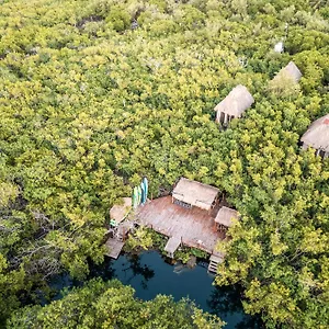 manglex-cenote-eco-hotel.quintano-roohotels.com/